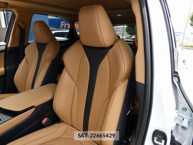 Lexus NX 2024-07 7877413-16