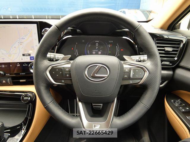 Lexus NX 2024-07 7877413-19