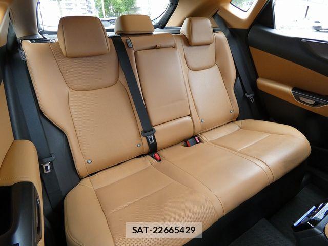 Lexus NX 2024-07 7877413-24