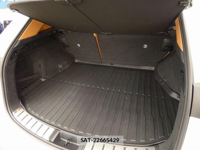 Lexus NX 2024-07 7877413-28