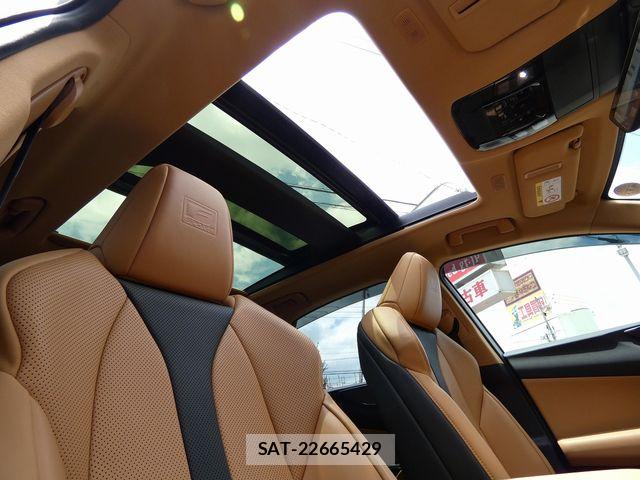 Lexus NX 2024-07 7877413-29