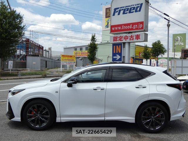 Lexus NX 2024-07 7877413-7