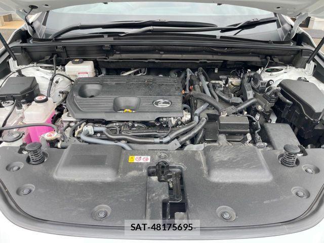 Lexus NX 2023-07 7877423-17