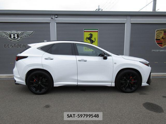 Lexus NX 2024-03 7877426-10