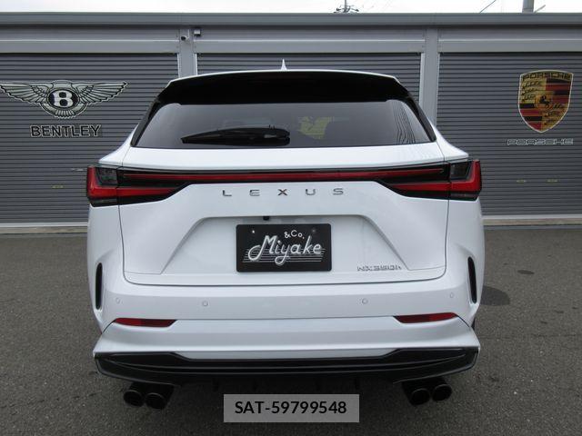 Lexus NX 2024-03 7877426-11