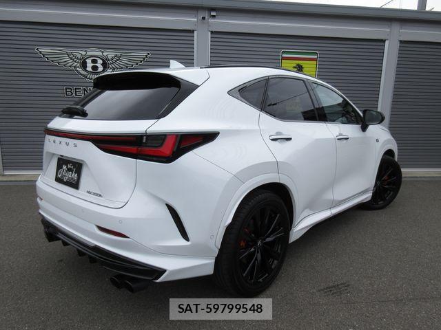 Lexus NX 2024-03 7877426-12
