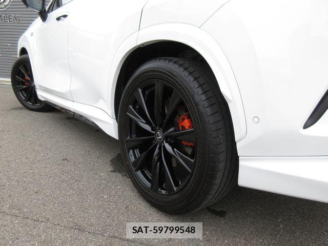 Lexus NX 2024-03 7877426-13