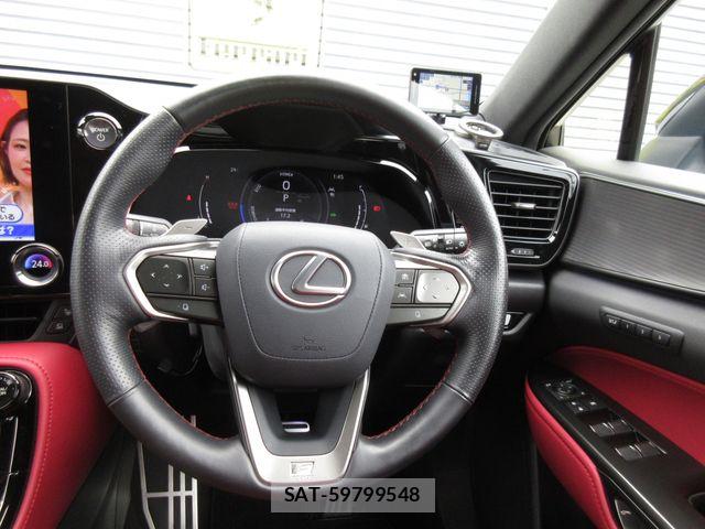 Lexus NX 2024-03 7877426-16