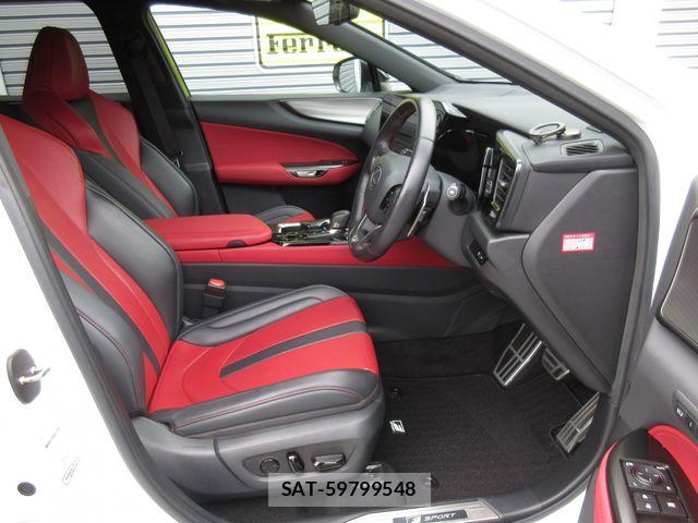 Lexus NX 2024-03 7877426-20