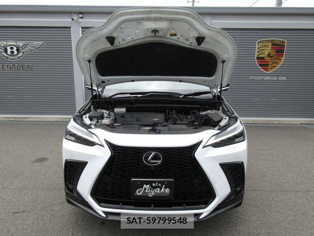 Lexus NX 2024-03 7877426-29