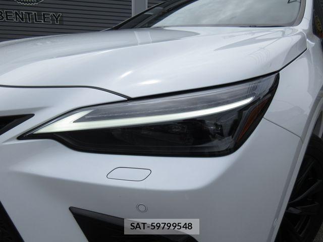 Lexus NX 2024-03 7877426-6