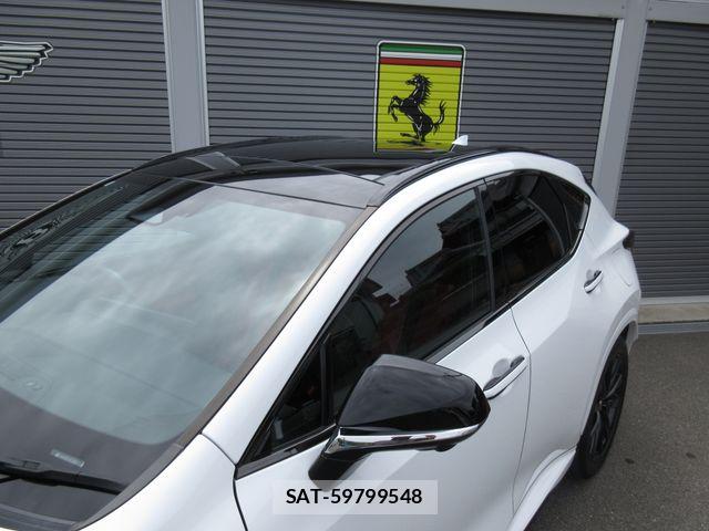 Lexus NX 2024-03 7877426-8