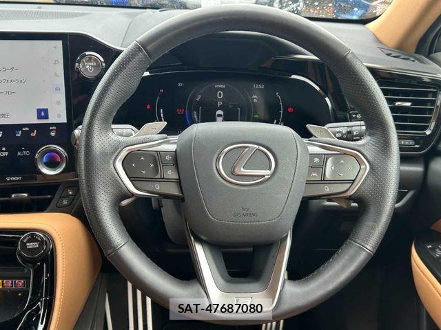 Lexus NX 2024-04 7877416-11