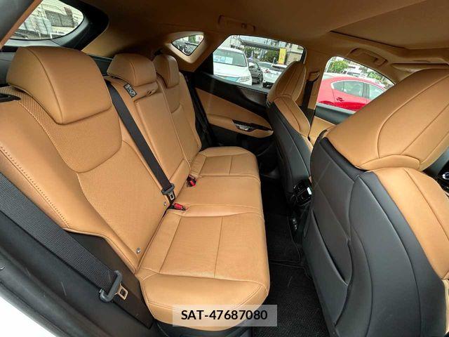 Lexus NX 2024-04 7877416-22