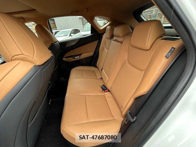 Lexus NX 2024-04 7877416-25