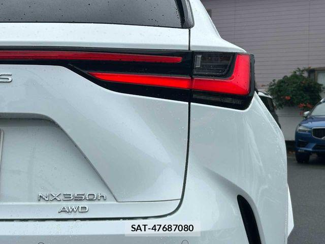 Lexus NX 2024-04 7877416-28