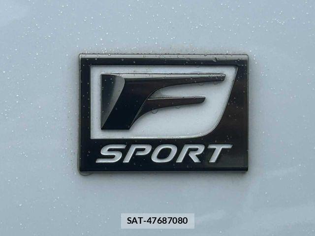 Lexus NX 2024-04 7877416-29