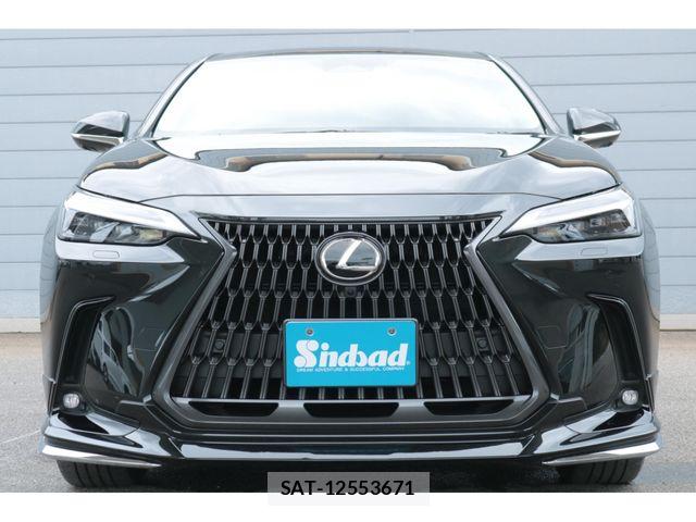 Lexus NX 2025-02 7877415-10
