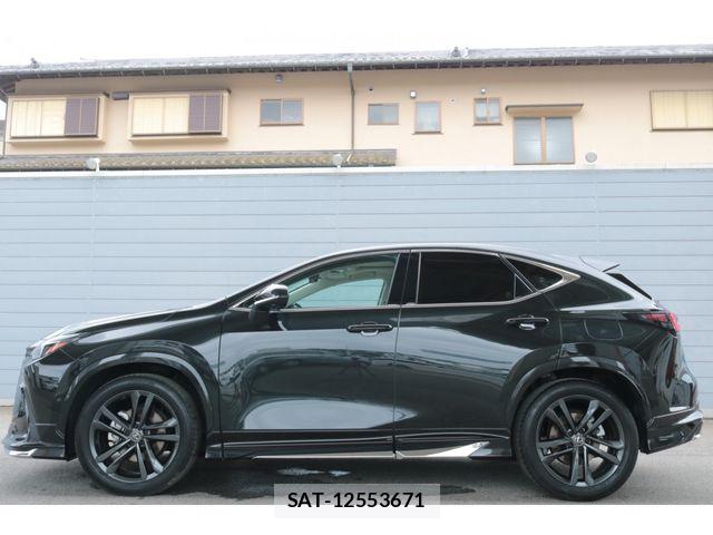 Lexus NX 2025-02 7877415-12