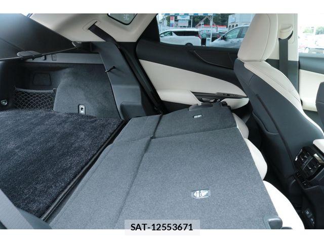 Lexus NX 2025-02 7877415-27