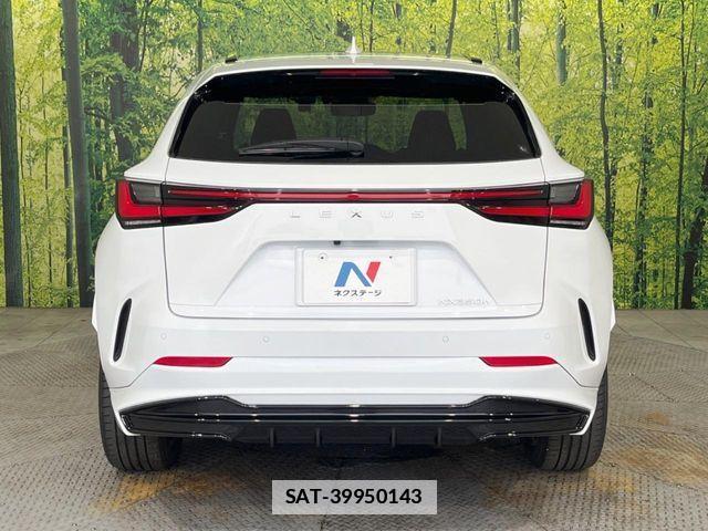 Lexus NX 2023-08 7877417-14