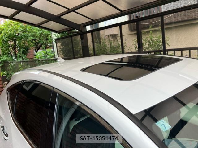 Lexus NX 2023-07 7877424-17