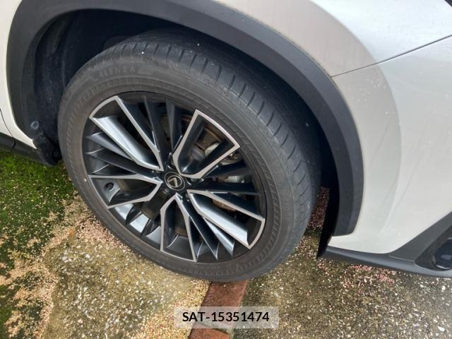 Lexus NX 2023-07 7877424-19