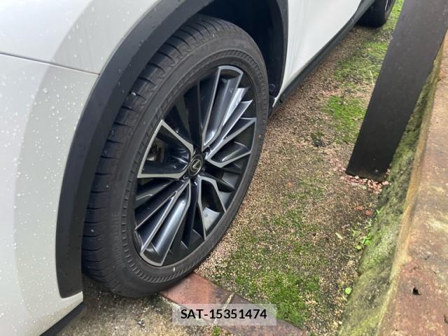 Lexus NX 2023-07 7877424-21