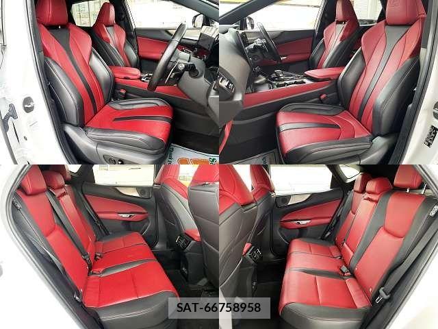 Lexus NX 2023-07 7877425-4