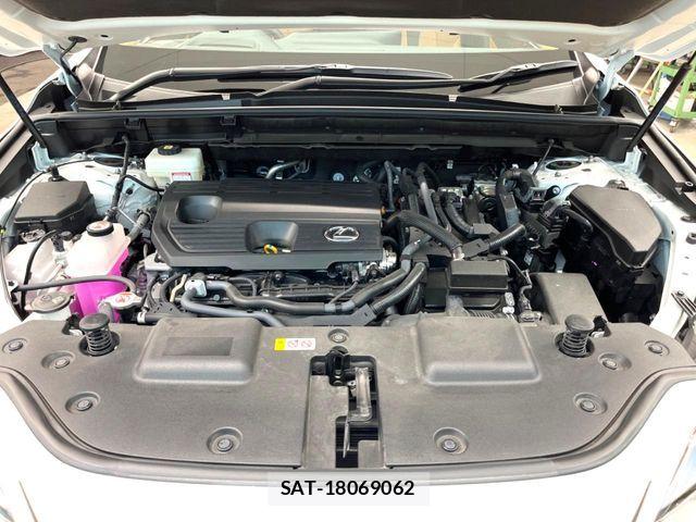 Lexus NX 2025-01 7877414-17