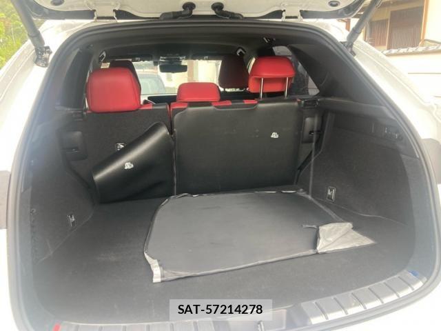 Lexus NX 2023-07 7877422-22