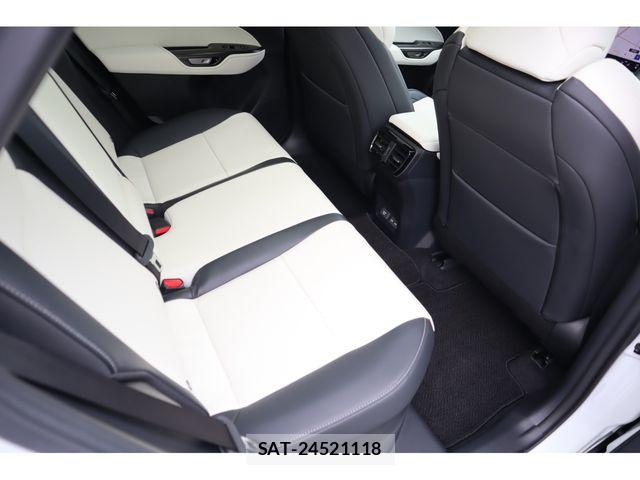 Lexus NX 2024-04 7902869-10