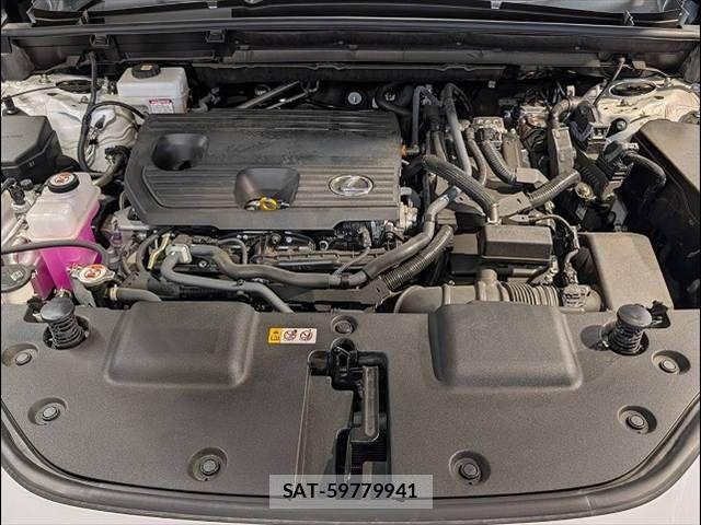 Lexus NX 2023-10 7962442-12
