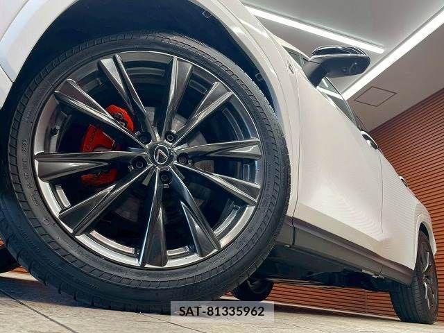Lexus NX 2023-08 7962443-10