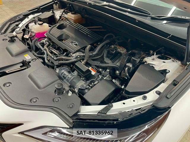 Lexus NX 2023-08 7962443-13