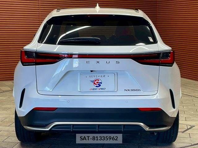Lexus NX 2023-08 7962443-18