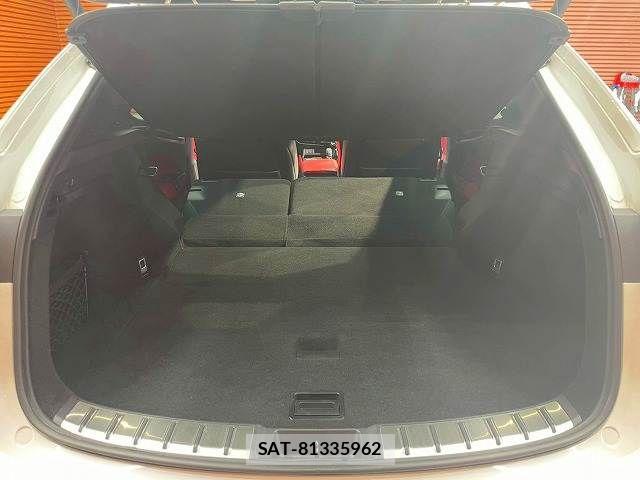 Lexus NX 2023-08 7962443-19