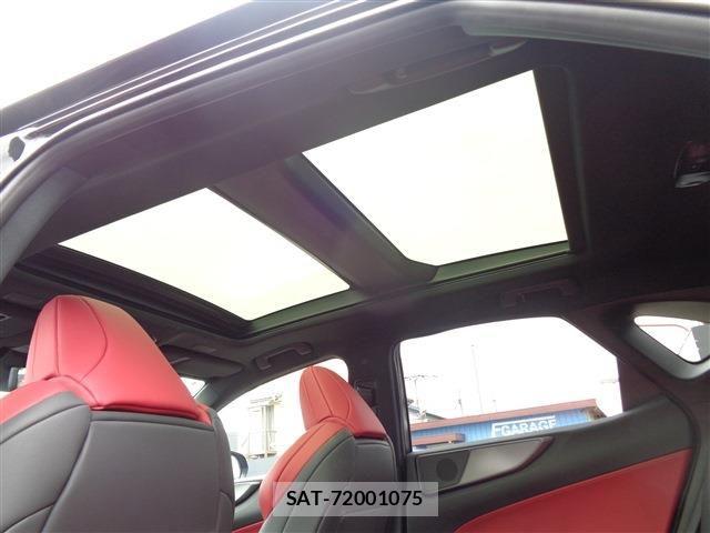 Lexus NX 2025-04 7962441-13