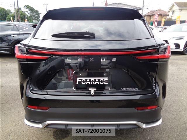 Lexus NX 2025-04 7962441-6