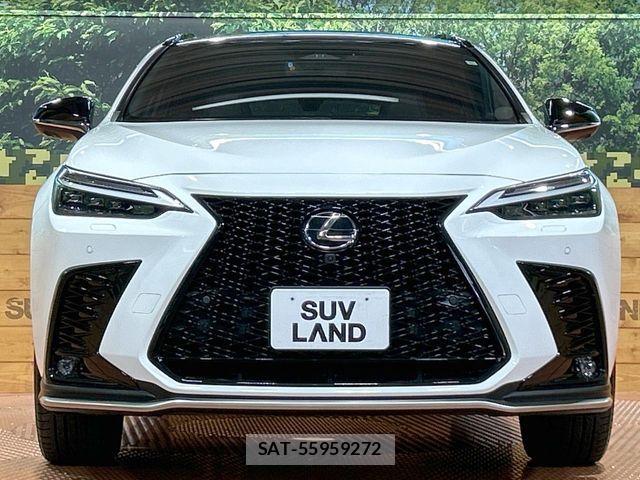 Lexus NX 2023-06 7962440-13
