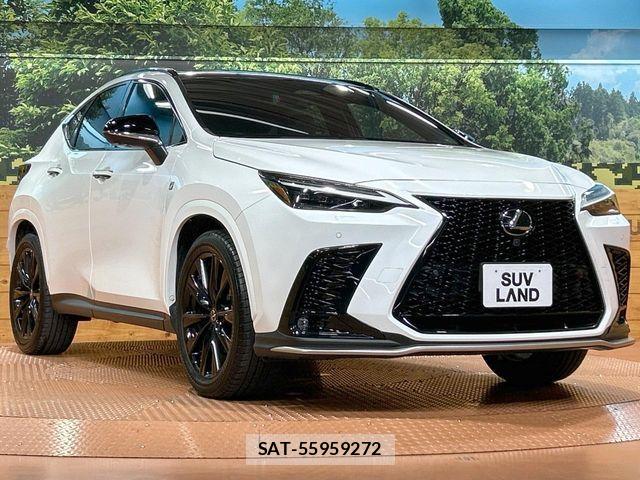Lexus NX 2023-06 7962440-15