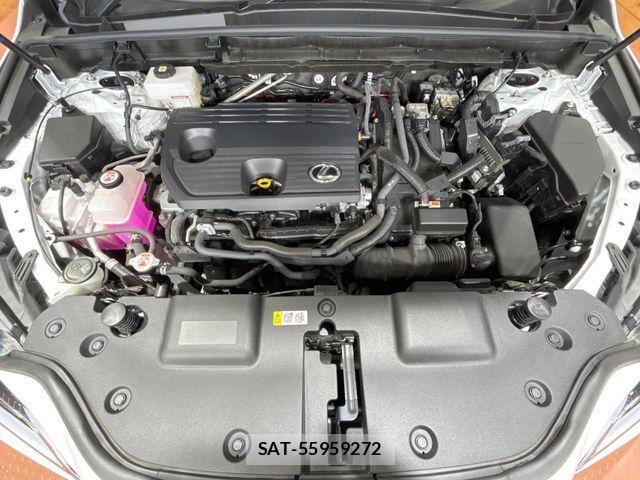 Lexus NX 2023-06 7962440-17