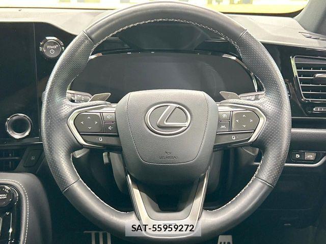 Lexus NX 2023-06 7962440-7