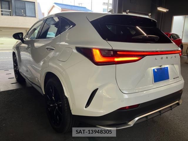Lexus NX 2024-09 7979788-4