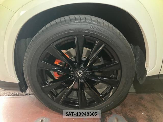 Lexus NX 2024-09 7979788-7