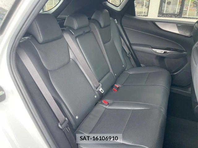 Lexus NX 2023-08 7979787-10