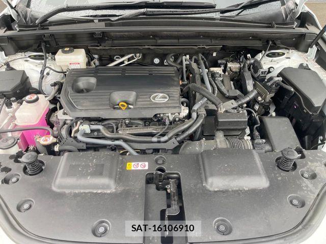 Lexus NX 2023-08 7979787-17