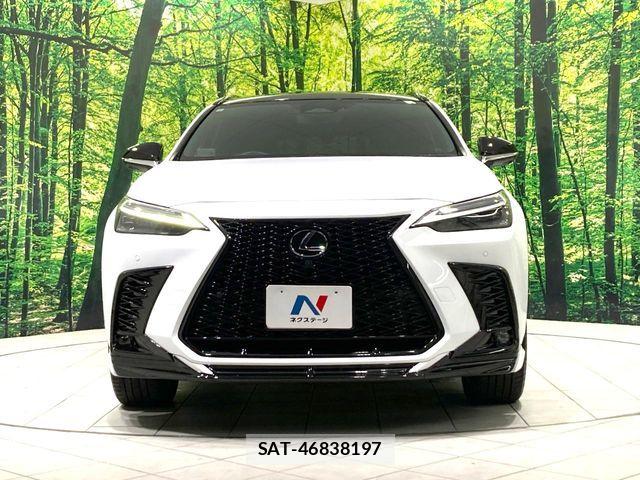 Lexus NX 2023-10 7979789-13