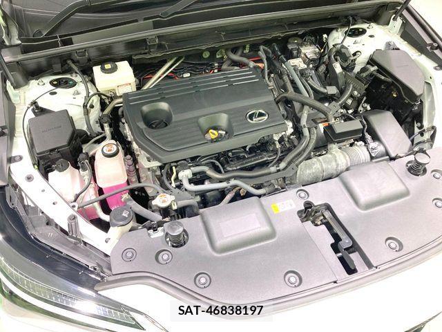 Lexus NX 2023-10 7979789-17