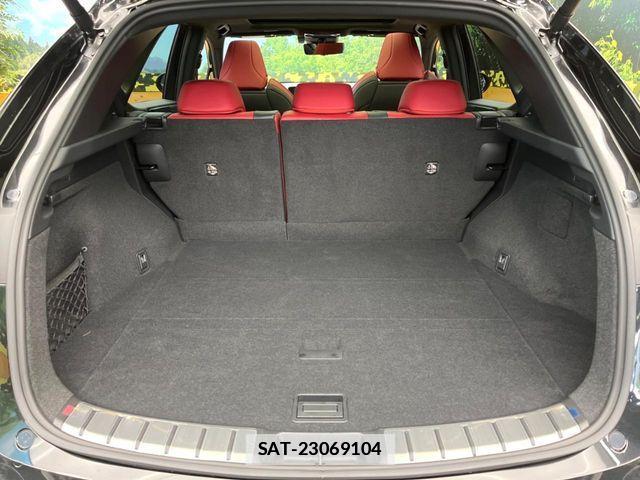 Lexus NX 2023-06 7979785-11